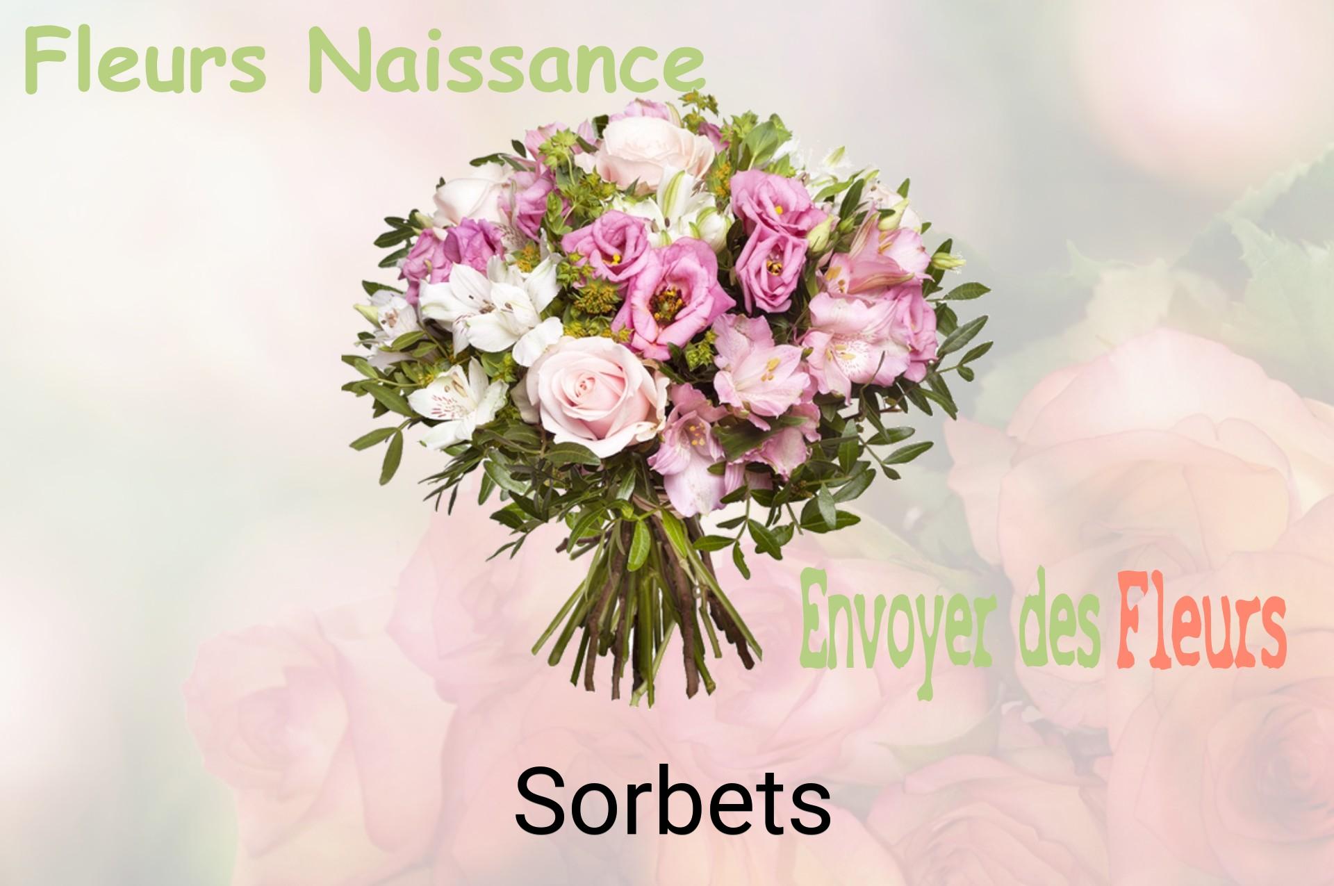 Bouquet de fleurs de naissance livré à Sorbets